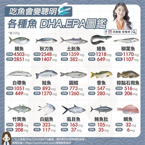 飼料魚是什麼魚|魚可以吃什麼？3種不同飼料和零食，讓魚更美更有活力！